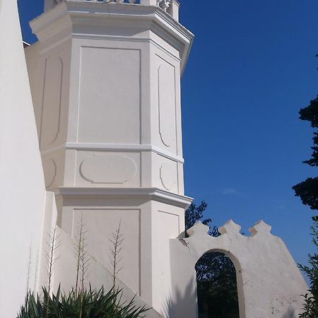 Amadeus Guest House - Chambres d'Hôtes La Seyne-sur-Mer Exterior foto