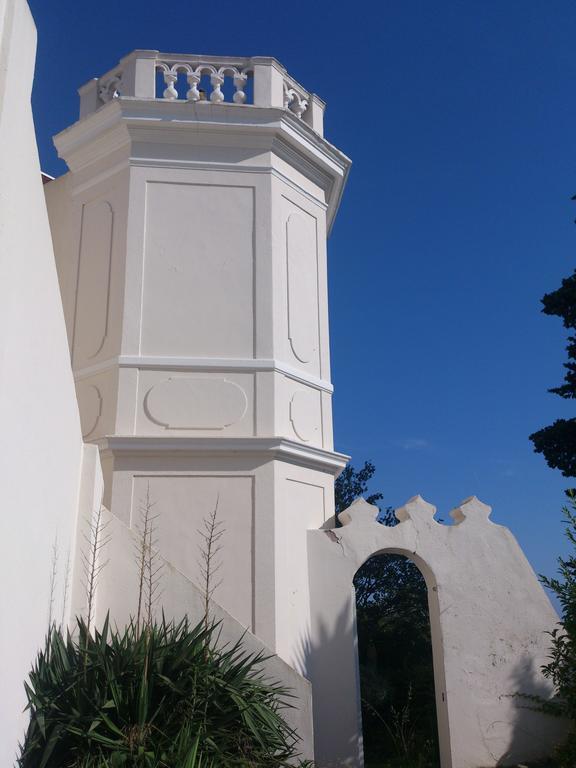 Amadeus Guest House - Chambres d'Hôtes La Seyne-sur-Mer Exterior foto